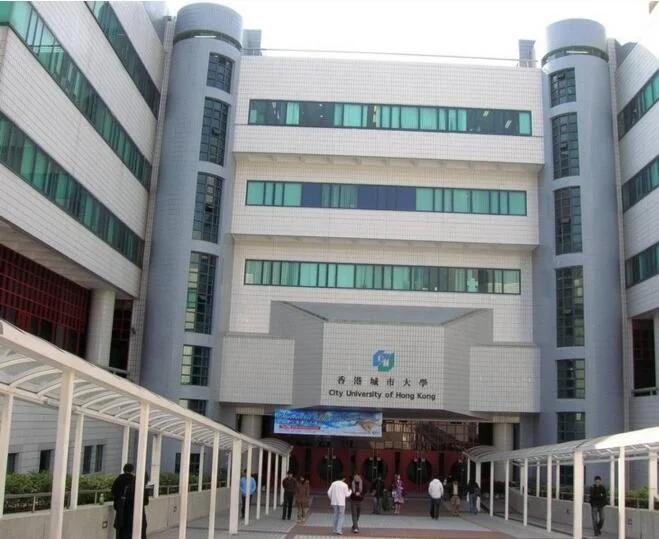 City University of Hong Kong Laboratory project documentation